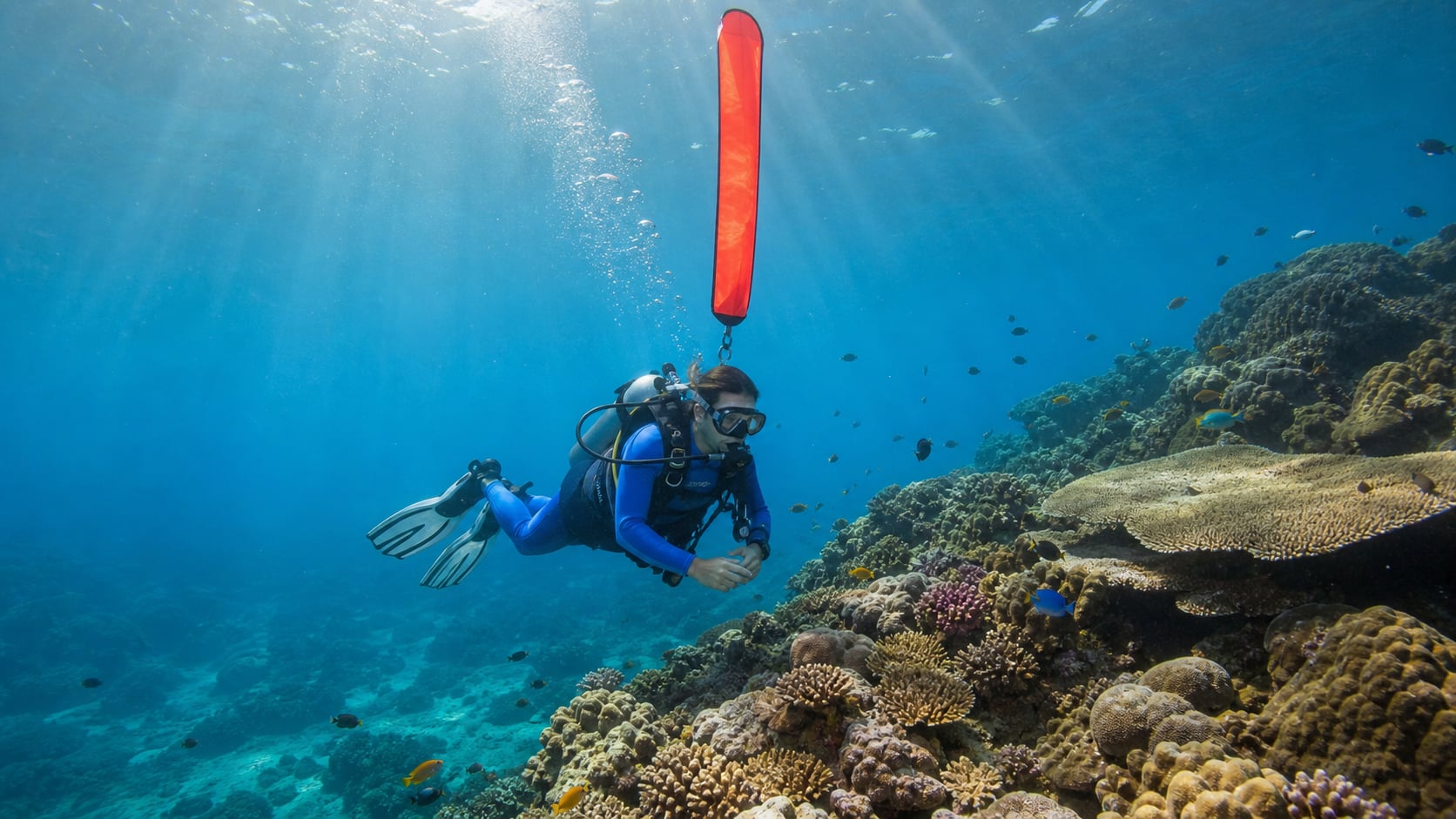 PADI Referral Freiwasser-Training auf Koh Tao mit klarem tropischem Wasser